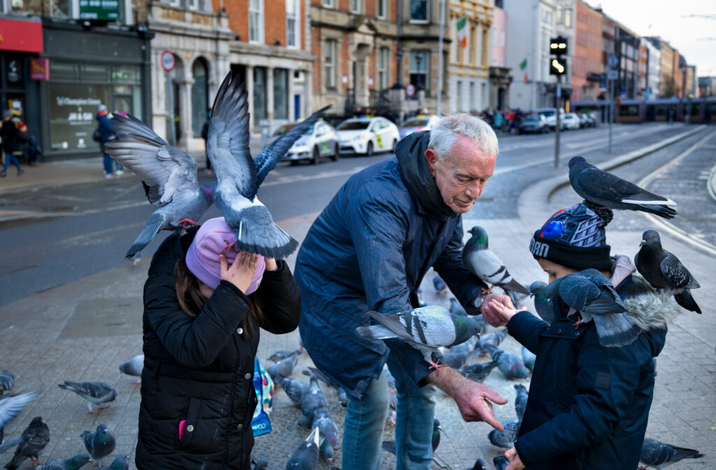 A grey-haired man feeding seagulls outside Stephen's Green. Two children are standing beside him with a number of pigeons clambering on top of them.