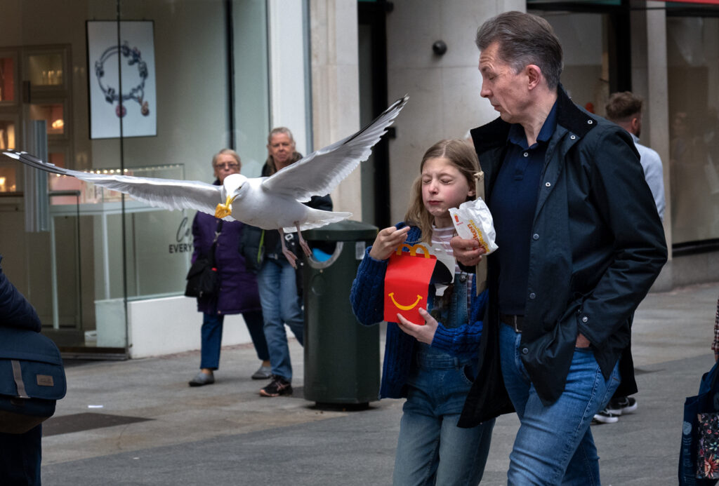 An angry looking seagull flies away with a chicken nugget in its mouth while a man and a young girl look startled by the recent theft.